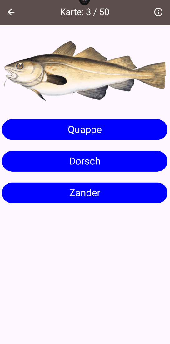 Multiple-Choice Fischerkennung